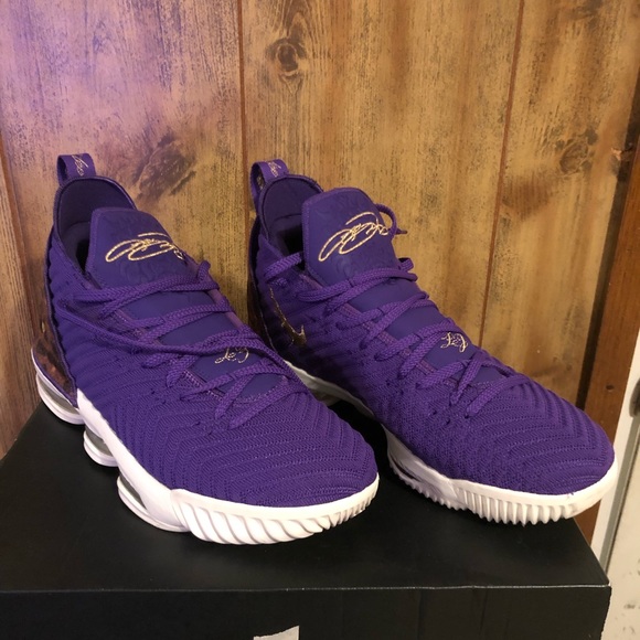 lebron 16 purple court